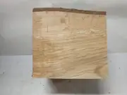 Live Edge Spalted Red Alder Wood Turning Bowl Blank