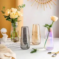 在飛比找蝦皮購物優惠-北歐ins極光幻彩玻璃花瓶 透明插花花瓶 水培花瓶 居家裝飾