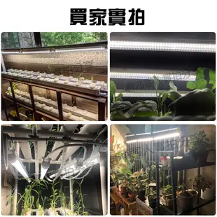 3入組 t8一體式 led植物生長燈管 T8 全光譜 植物燈 植物燈管 T8燈管 植物燈 保固一年 (3.7折)