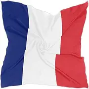 [PMAIHNAS] Women's Fashion Silk Scarf Square Satin Headscarf Neck Scarf Head Hair Wraps
