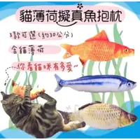 在飛比找iOPEN Mall優惠-【喵玩國】貓草魚 擬真魚 薄荷魚 貓抱枕 逗貓 貓咪玩具 貓