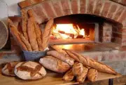 Bread Making Flour Dough CD Baking 35 Books Wheat Baker Bakery Food War Loaf