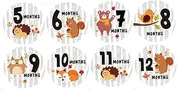 SWOOMEY 12PCS Monthly Stickers for Newborns Creative Round Shape Animal Pattern Milestone Stickers Self Adhesive Photography Props for Sharing Growth Memories
