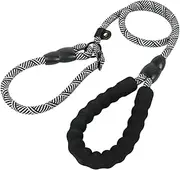 Puppy Training Rope,4.9 FT Integrated P Chain Dog Runner for Yard Rope - Anti-Slip Handle Flexible Buckle Shock Absorber Puppy Pet Strap