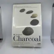 STRATHMORE 500 Series Charcoal Paper Pads Assorted Tints 12"x18" - New, Sealed