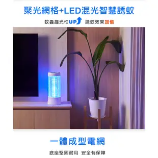 ADATA 威剛 LED 捕蚊燈 藍 MK5-BUC 台灣製造LED電擊式捕蚊燈