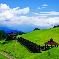 在飛比找ETMall東森購物網優惠-南投高山杜鵑．合歡山半日遊．清境農場賞花趣2日單人券24TM