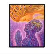 got alex grey blanket warm soft flannel fleece