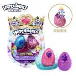 【DADA 現貨速發】加拿大 第 6/6.5 季皇家 HATCHIMALS MINI哈馳魔法蛋 迷你蛋 益智孵化創意蛋