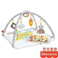 在飛比找蝦皮商城優惠-Fisher-Price 費雪 感官訓練可愛動物健身器(盒損