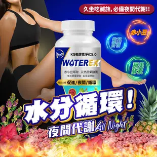 【聯華食品 KGCHECK】EX夜酵素淨化膠囊(120顆)