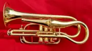 Echo Cornet W/extra Mute Effects Customized Cornet Duplex Music Jazz Instrument