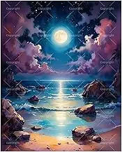 TAOPAOLAB Seaside Paint by Numbers Kit for Adults - DIY Full Moon Over Ocean with Clouds and Rocks Painting on Canvas 16x20 Inches, Acrylic Paint Set for Beginners, Art for Home Decoration or Gifts