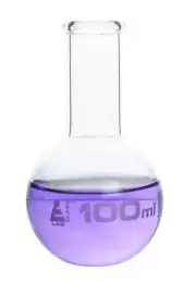 Eisco Labs 100ml Florence Boling Flask, Flat bottom - Borosilicate Glass