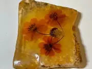 PRESSED FLOWERS ON A SELENITE MINERAL SPECIMEN