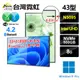 台灣霓虹 43吋1080P薄邊框Win11廣告機(N5095/8G/500GB SSD/Win11P) AIO四核一體機