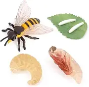 Bee Growth Cycle, Animal Growth Cycle Biological Model , Growth Stage Lifelike Bee Life Cycle Model Set for Kids Education Insect Themed Party Favors