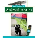 TRUE STORIES OF ANIMAL ANTICS