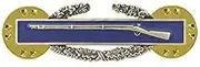 VANGUARD Army Dress Badge Combat Infantry First Award Miniature, Silver Oxidized