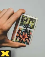 MSPRNT 00 - "FLWR" Playing Cards by Pablo Frey G.