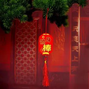 洛陽牡丹 新年小燈籠掛飾裝飾佈置元旦創意迷你盆栽小吊飾吊飾