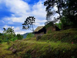 連環森林小屋飯店Knuckles Forest Lodge