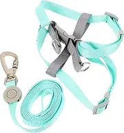 ifundom Fashionable Dog Harness Leash Set for Puppies Escape Proof Hand- Operation