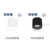 在飛比找蝦皮購物優惠-【燈王的店】舞光 LED 30W 36° 神盾筒燈(LED-