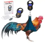 BASCULA, BALANZA PARA GALLOS, POLLOS, GALLINAS, Scale To Weight for Rooster hens