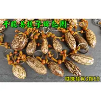 在飛比找蝦皮購物優惠-【喬尚】千眼菩提子鑰匙圈(小顆.隨機3顆)2~4cm