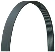 Dayco 5070955DR Serpentine Belt For Select 92-05 Dodge Mercedes-Benz Models