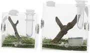 TOBBOMEY Practical 2pcs Jumping Spider Box Acrylic Insect Habitat Humidifier for Easy Feeding