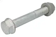 Spring Bolt SAF 3 341 2803 10