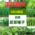 🧶🧶【新手蔬菜種子】 短期的農家菜種 快菜 葉菜 小白菜 空心菜四季蔬菜香菜 櫻桃蘿蔔 九層塔 莧菜 萵苣 茼蒿 蔥