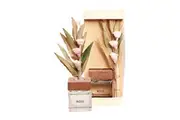 Urban Dried Flower 60ml Scented Reed Rose Diffuser Home Room Fragrance Natural