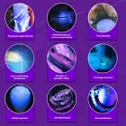 365nm UV Flashlight USB Rechargeable Black Light Torch 3W Led