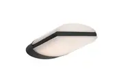 Modena LED Exterior Light Charcoal
