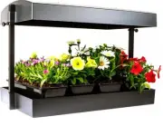 SunBlaster T5 Grow Light Garden, Black