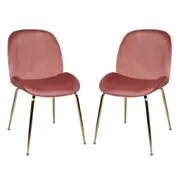 Raimon Furniture Set of 2 Casa Velvet Fabric Dining Chair - Gold Legs - Blush