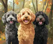 Doodles fun Art Computer Mouse Pad Vibrant Colors Gift Goldendoodle Labradoodle