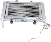 Radiator Grille Fit For 150-250CC Kart Four-wheel Off-road Vehicle Off-road Vehicle Engine Parts ATV Radiator Cooler Water Cooler Engine Radiator