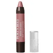 Burt's Bees Burts Bees Sedona Sands Lip Crayon, 0.11 Oz