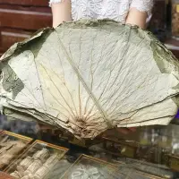 在飛比找蝦皮購物優惠-【現貨】完整 大片乾荷葉 荷葉 料理 糯米雞 大荷葉 荷葉