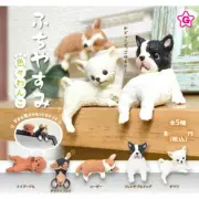 Puppies Sprawling in the Sun Mini Figure Collection Corgi Poodle Chihuahua