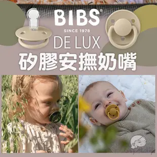 丹麥BIBS安撫奶嘴[夜光款] COLOUR系列 DeLux系列 BIBS奶嘴 乳膠奶嘴 母乳實感 矽膠奶嘴 正版現貨