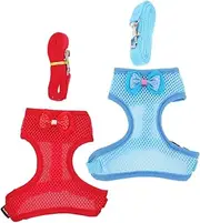 DRESSOOS 2 Sets Adorable Chicken Harness and Leash Comfortable Hen Vest with Pulling Rope for Outdoor Activities Durable and Easy to Control Distance for Your Pet Rooster