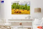 Horse Herd & Forest Cloudy Sky Wall Canvas Home Decor Australian Made Quality