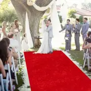 Red Carpet Runner for Party Wedding Aisle Runner Outdoor 5x20FT Velvet Fabric...