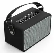 Guitar Amp Style 2.0 Active Bluetooth Speaker (Black)