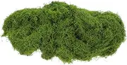 Abaodam Realistic Artificial Moss Lawn Fake Grass for Balcony Decorative Plant Mat 100g